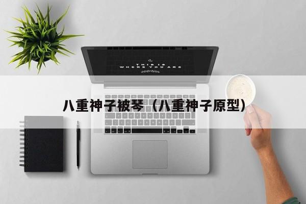 八重神子被琴（八重神子原型）