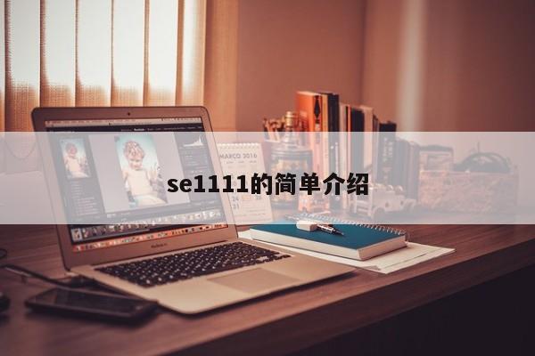 se1111的简单介绍