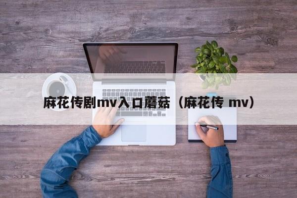麻花传剧mv入口蘑菇(麻花传 mv)